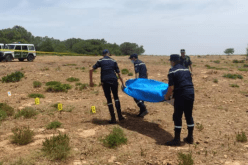 وفاة شخص صدمته شاحنة في تيبازة