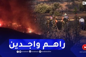 حماية مدنية: استراتيجية مدروسة لإطفاء الحرائق تجنبا لما حدث مع الجارة تونس