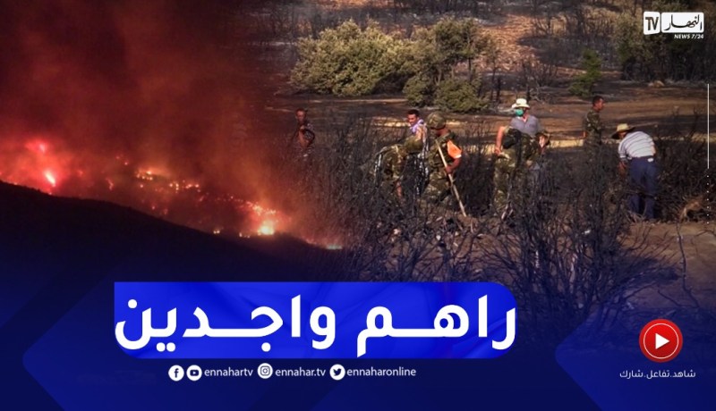 حماية مدنية: استراتيجية مدروسة لإطفاء الحرائق تجنبا لما حدث مع الجارة تونس