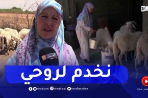الجلفة: رعي الأغنام وتربيتها.. أم الخير تطلب مساعدة الدولة للاستمرار في مشروعها