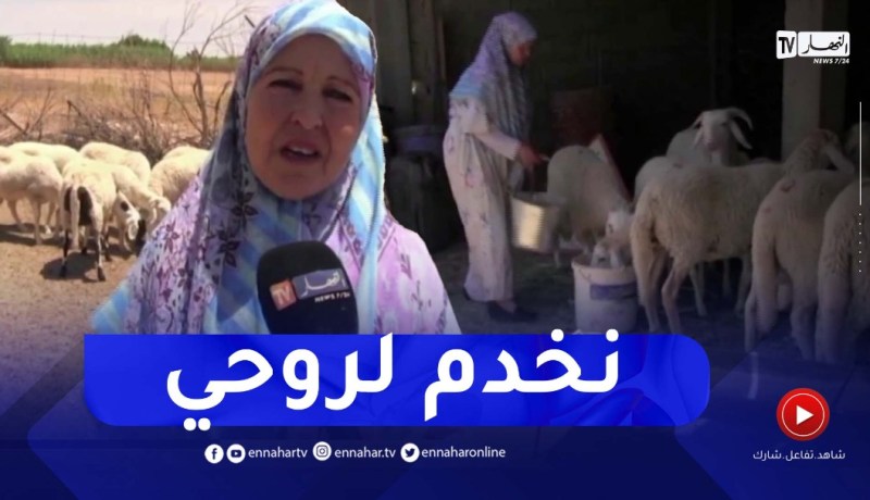 الجلفة: رعي الأغنام وتربيتها.. أم الخير تطلب مساعدة الدولة للاستمرار في مشروعها