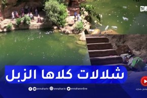 تلمسان: شلالات لوريط..مكان سياحي بامتياز يطاله الإهمال