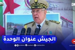 الفريق أول شنقريحة.. الجيش لعب دورا مشهودا في مسار الدولة الوطنية الحديثة