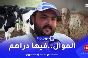 صريح جدا: أفضل المشاريع المربحة في نظر الجزائريين ..