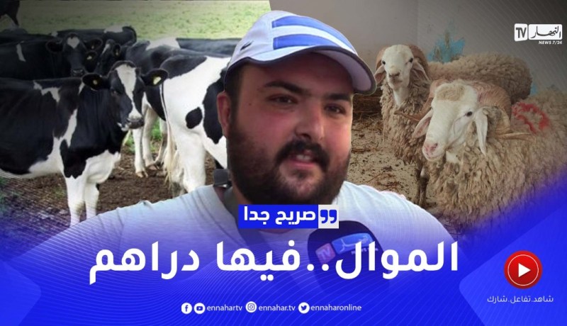 صريح جدا: أفضل المشاريع المربحة في نظر الجزائريين ..