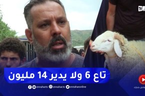 صريح جدا: هكذا هي اسعار الاضاحي بسوق الماشية في بودواو