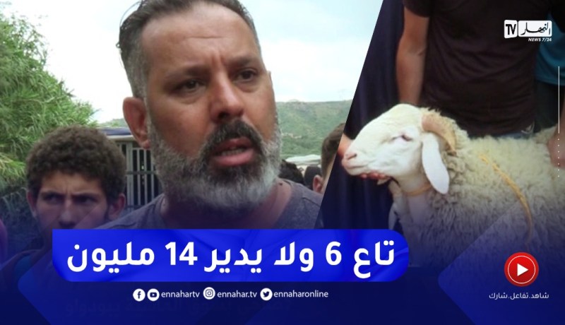 صريح جدا: هكذا هي اسعار الاضاحي بسوق الماشية في بودواو