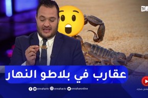 😲😲شاهد..عقارب في بلاطو النهار
