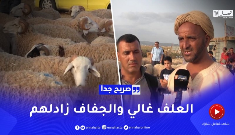 صريح جدا: عنابة.. إرتفاع جنوني في سعر اضحية العيد