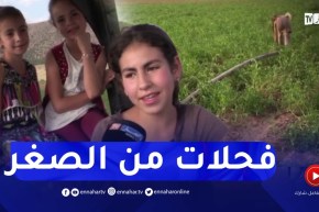 شقيقات ثلاث يحملن مسؤولية فلاحة أرض والدهن المـتوفي بباتنة