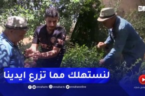 غليزان: الزراعات المنزلية ..سكان بلدية مديونة بشعار لنستهلك مما تزرع ايدينا