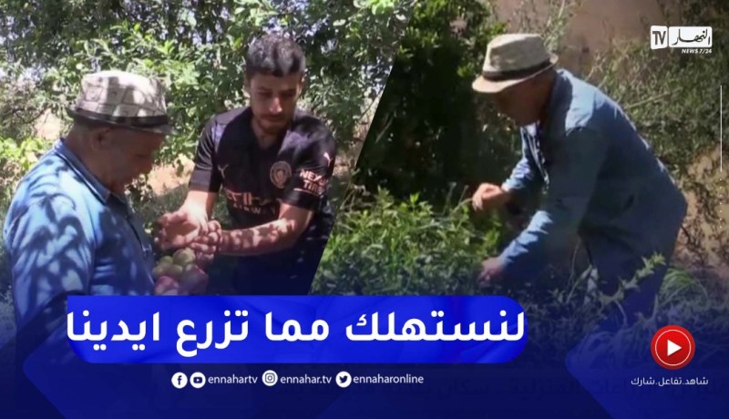 غليزان: الزراعات المنزلية ..سكان بلدية مديونة بشعار لنستهلك مما تزرع ايدينا