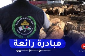 فلسـ.طين: غلاء في أسعار الأضاحي بغزة..الجزائر حاضرة بدعمها