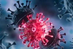 بعد إعلان تفشيه بغانا.. هذا هو فيروس “ماربورغ”