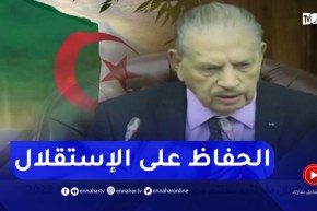 قوجيل:هدفنا المحافظة على الجزائر في المحافل الدولية نحن دائما مع الحق وضد الباطل