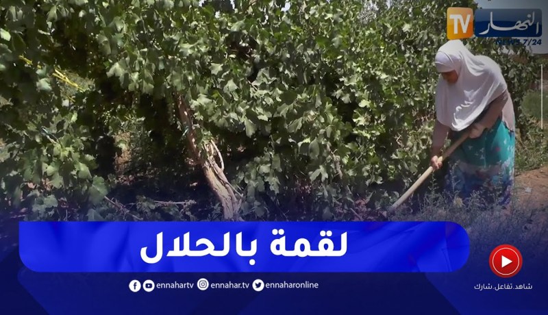 النعامة : فلاحة من منطقة “الدزيرة” ترفع التحدي لخدمة أرضها رغم النقائص