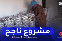 باتنة : مستثمر يطلق مشروعا ناجحا في تربية الدواجن وإنتاج البيض بمنطقة القصبات