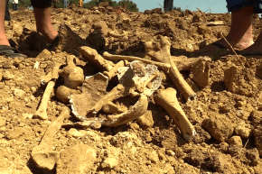 مشاهد صـ.ـادمة..مستثمر فلاحي يتسبب في تحطيم مقـ ـبرة .. إنتهاك صارخ لحرمة المـ ـيت