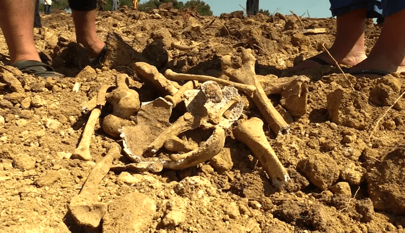 مشاهد صـ.ـادمة..مستثمر فلاحي يتسبب في تحطيم مقـ ـبرة .. إنتهاك صارخ لحرمة المـ ـيت