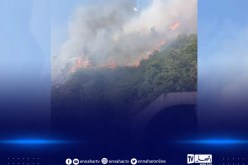 بجاية.. نشوب حريق بغابة شعبة لاخرة بخراطة