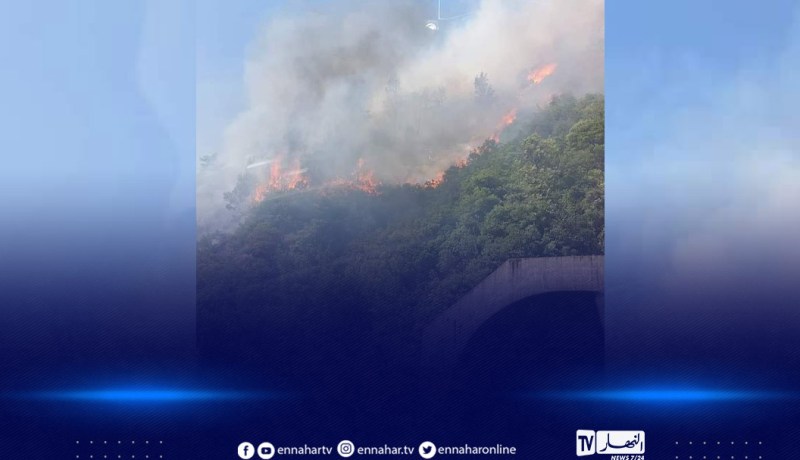 بجاية.. نشوب حريق بغابة شعبة لاخرة بخراطة