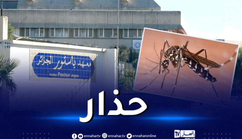 معهد باستور: بعوضة النمر إستقرت بالجزائر وتغزو 60 بالمائة من المناطق الشمالية