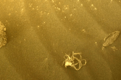 ناسا: المركبة الروبوتية برسيفرنس ترصد جسما غريبا متشابكا على المريخ