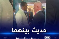 زفيزف يلتقي إيتو خلال مشاركته في المؤتمر 44 للإتحاد الإفريقي بتنزانيا