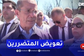 هكذا سيتم تعويض الفلاحين المتضررين من حـ ـرائق الغابات