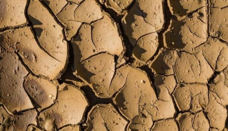 بريطانيا تعلن رسمياً الجفاف في البلاد