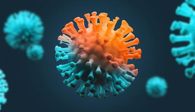 الصين: إكتشاف فيروس جديد ينتقل من الحيوانات إلى البشر