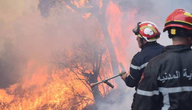 الحماية المدنية: إخماد 72 حريقا على مستوى 15 ولاية