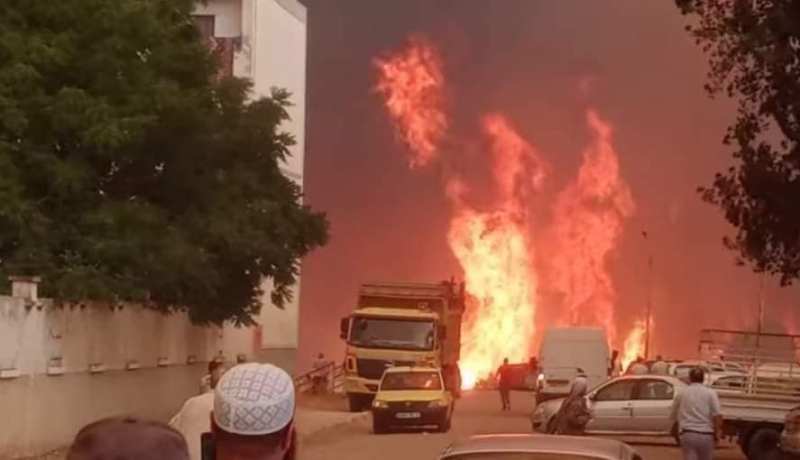 تبدأ عملها الأربعاء.. تنصيب لجنة للتكفل بمتضرري الحرائق