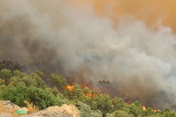 الجبهة العربية الفلسطينية تعزي الجزائر في ضحايا الحرائق