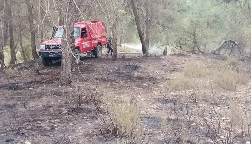 إخماد حريق جبل الميزاب في تبسة
