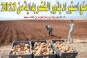منع استيراد بذور الخضر بداية من 2023