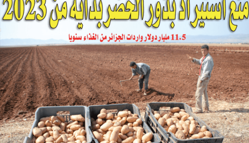 منع استيراد بذور الخضر بداية من 2023