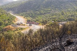 اندلاع سلسلة حرائق في عدة مناطق من تونس