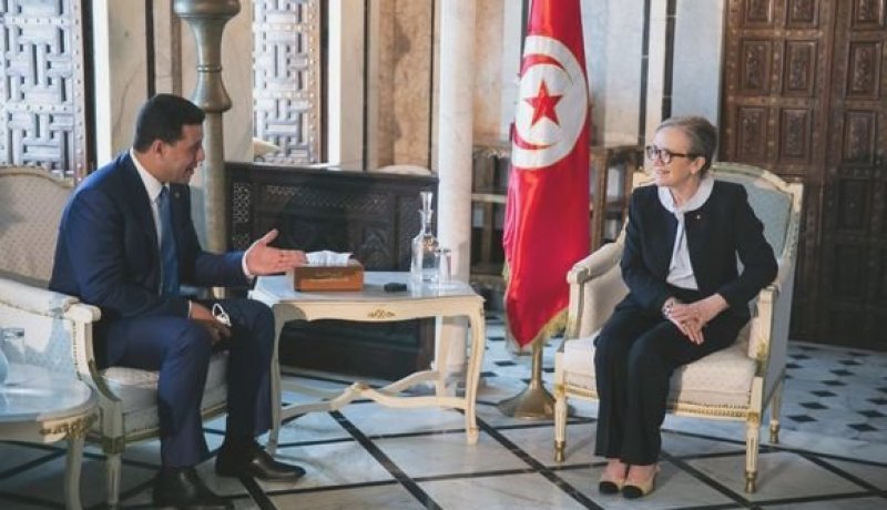 وزير السياحة يُستقبل من طرف رئيسة الحكومة التونسية