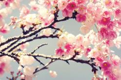 ما تفعله من خيرٍ يطير بجناحيه إلى الله ليعود إلى قلبك بنسائم الرحمة