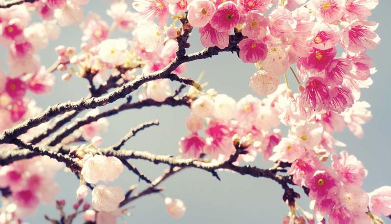 ما تفعله من خيرٍ يطير بجناحيه إلى الله ليعود إلى قلبك بنسائم الرحمة