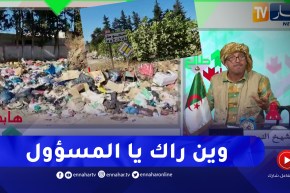 الشيخ النوي: “زوبية” على طرف الطريق في مدخل مدينة حجوط.. ويقولك علاه تهدر