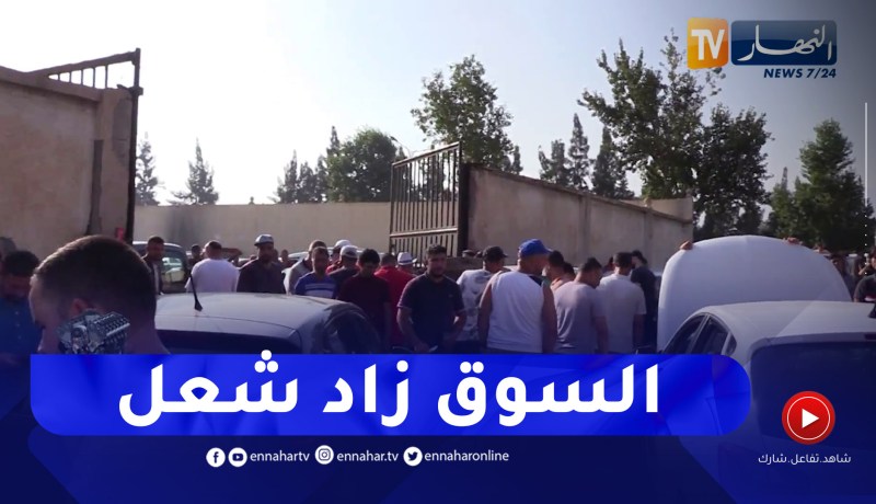 برنامج Toutes Options: أسعار السيارات المستعملة تسجل أعلى ارتفاع لها منذ تجميد الإستيراد