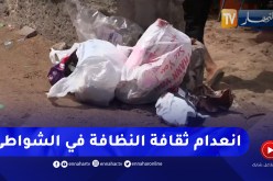 عدم إحترام نظافة الشواطئ.. مظاهر تشوه جمال البحر