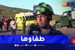 مصالح الحماية المدنية تتمكن من إخماد حريق بواد العنب في عنابة