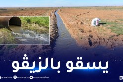 الشلف: الدرك يوقف 6 أشخاص بتهمة السقي بالمياه القذرة