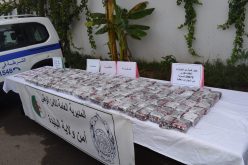 أمن البليدة يفكّك شبكة مهلوسات تنشط عبر محور ولايات الوسط