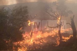 تسجيل 16 بؤرة حريق اليوم الأربعاء بسوق أهراس