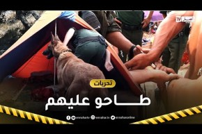 تحريات.. مداهمات فجائية لرجال الدرك الوطني بالشواطئ في مشاهد حقيقية