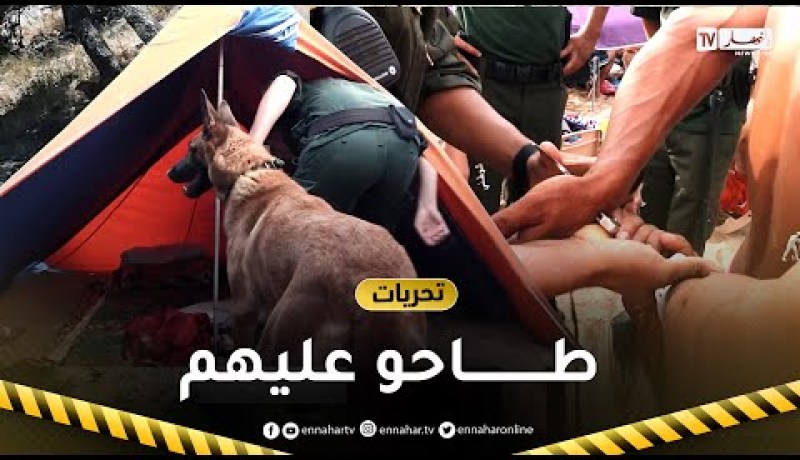 تحريات.. مداهمات فجائية لرجال الدرك الوطني بالشواطئ في مشاهد حقيقية